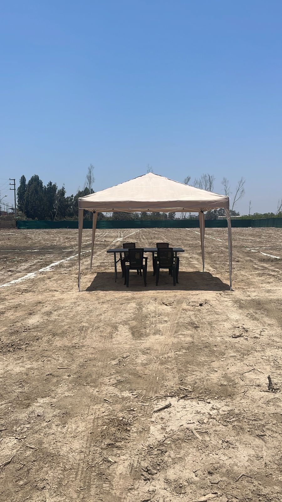 Foto 20-11-24, 12 58 05 p m (2)